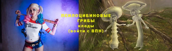 дживик Беломорск