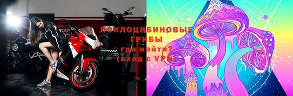 тгк Белокуриха