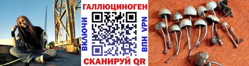Галлюциногенные грибы ЛСД  это состав  Кукмор 